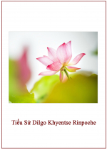Tiểu Sử Dilgo Khyentse Rinpoche