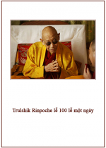 Trulshik Rinpoche Lễ 100 Lễ Một Ngày