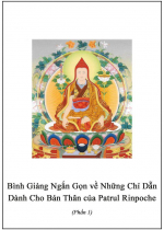 Bình Giảng Ngắn Gọn Về Những Chỉ Dẫn Dành Cho Bản Thân Của Patrul Rinpoche (Phần 1)