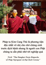 Pháp tu Kim Cang Thủ là phương tiện độc nhất vô nhị che chở chúng sinh trước dịch bệnh nhưng là người con Phật chúng ta cần phải nhớ tới nghiệp quả