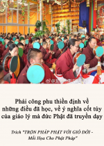 Phải công phu thiền định về những điều đã học, về ý nghĩa cốt tủy của giáo lý mà đức Phật đã truyền dạy