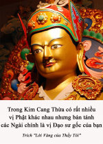 Trong Kim Cang Thừa có rất nhiều vị Phật khác nhau nhưng bản tánh các Ngài chính là vị Đạo sư gốc của bạn