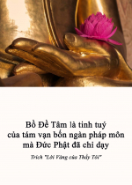 Bồ Đề Tâm là tinh tuý của tám vạn bốn ngàn pháp môn mà Đức Phật đã chỉ dạy