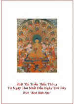 Phật Thi Triển Thần Thông Từ Ngày Thứ Nhất Đến Ngày Thứ Bảy