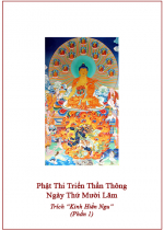 Phật Thi Triển Thần Thông Ngày Thứ Mười Lăm (Phần 1)